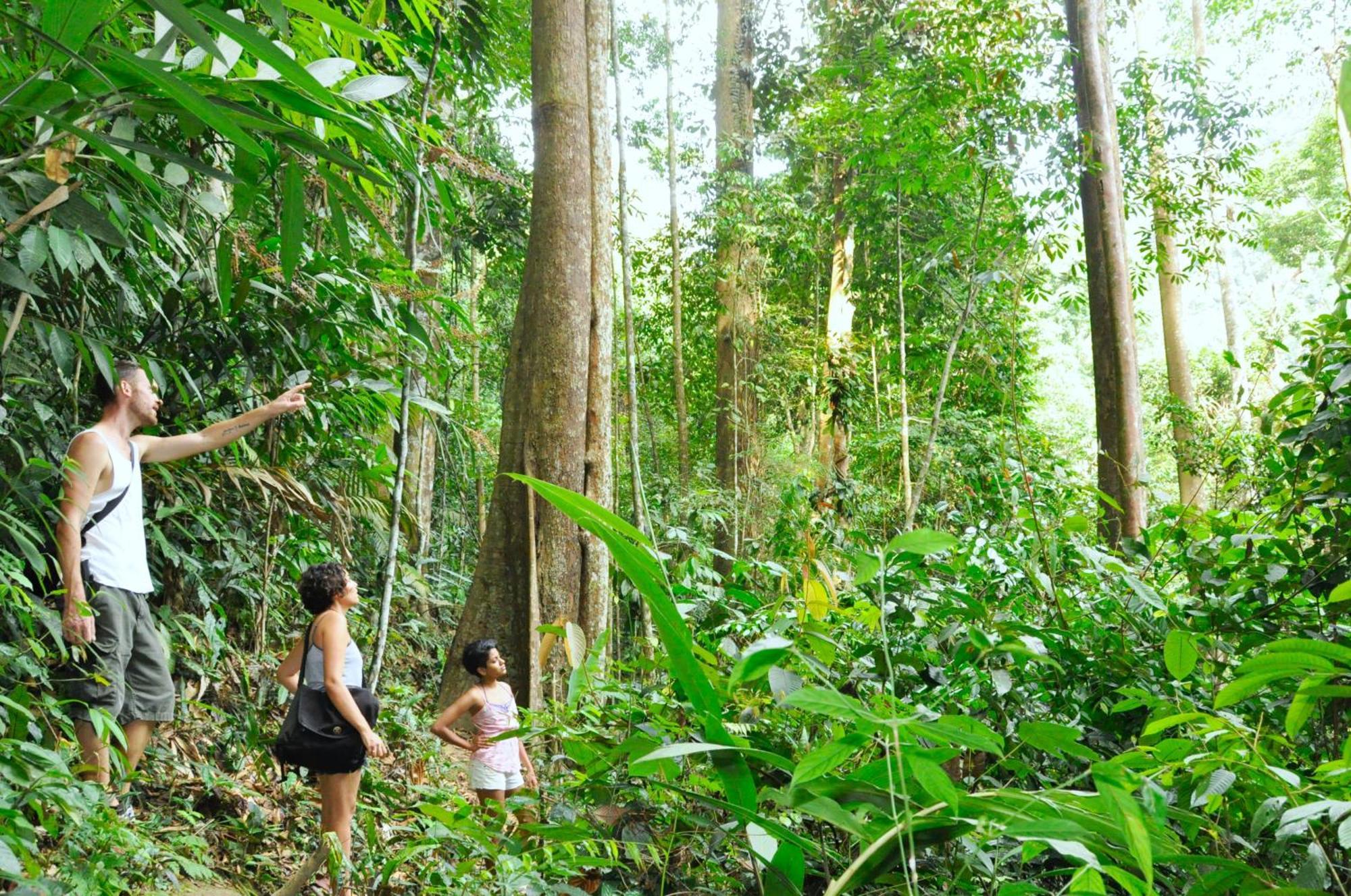 Villa The Dusun Seremban Esterno foto