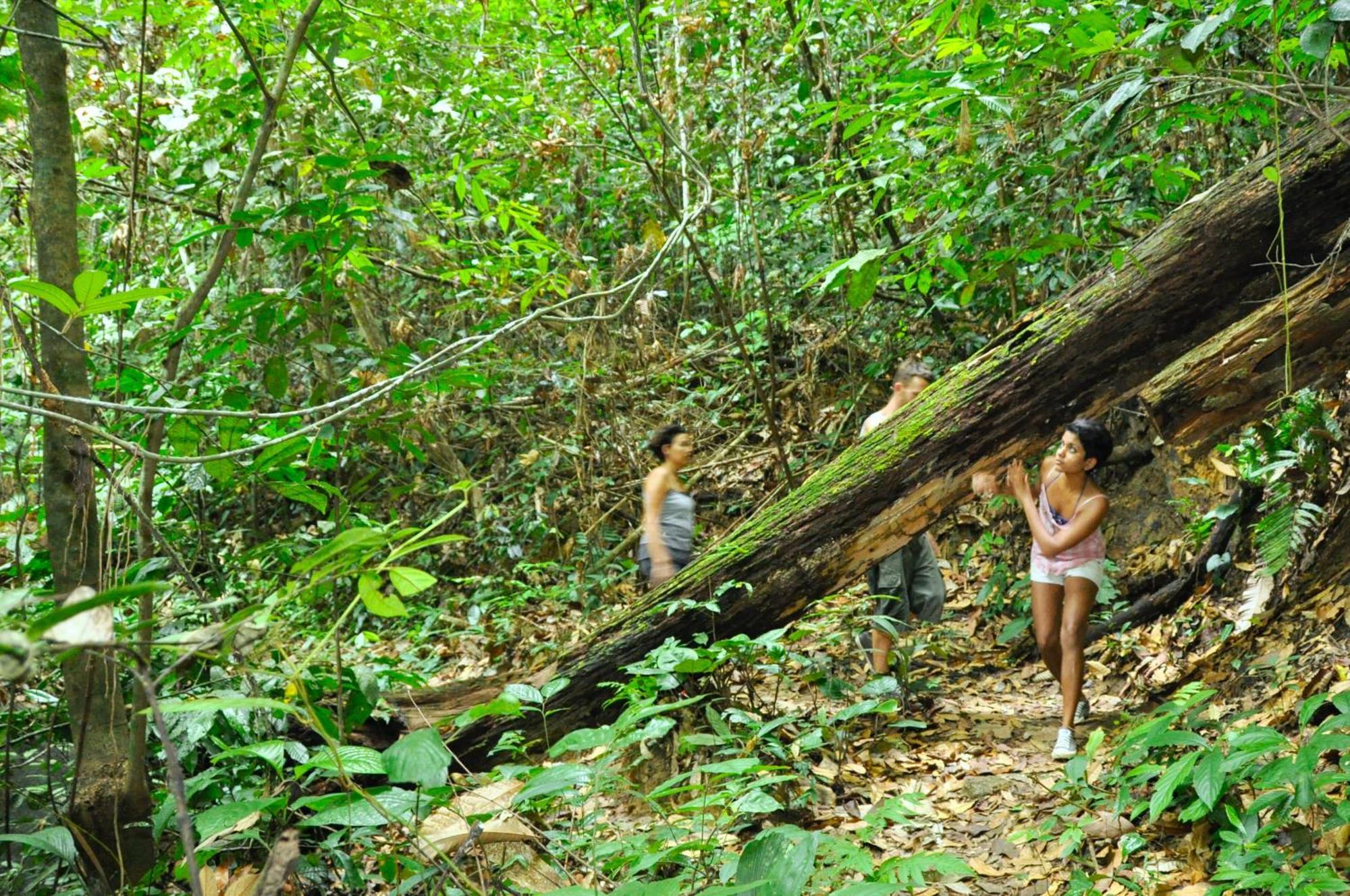 Villa The Dusun Seremban Esterno foto